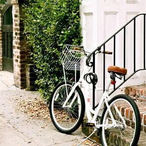 Bicycle Print, Charleston SC Photography, Charleston Bike Picture, Cycling Wall Art, Green White and Black Art, Available Matted or Framed image 5