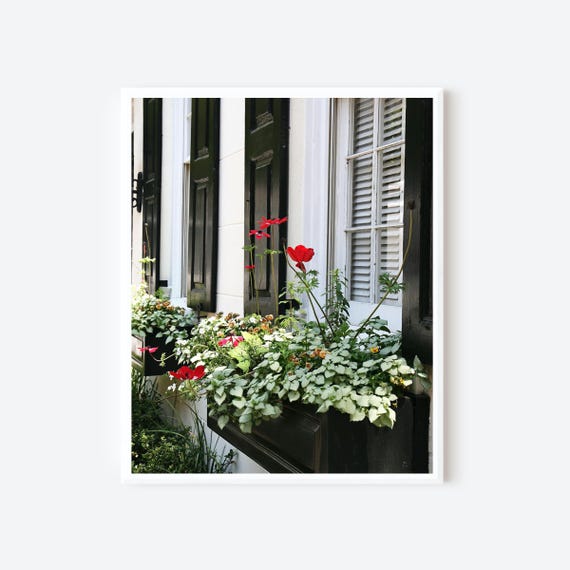 Charleston SC Photography, Window Box Flowers Print, Red Poppies Picture, Flower Photo, Southern Wall Art
