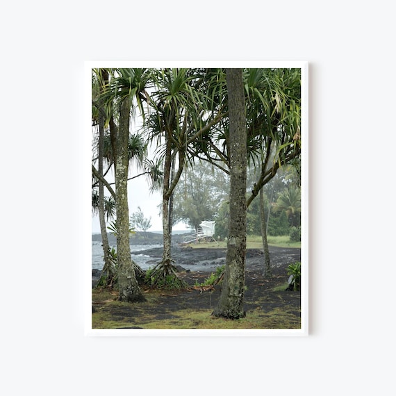 Suspension - Hilo Hawaii Photography Print