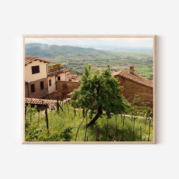Tuscany Wall Art, Italian Countryside, Italy Photography, Tuscany Print, Tuscan Decor, Mediterranean Art, Farmhouse Decor, Tree Photo