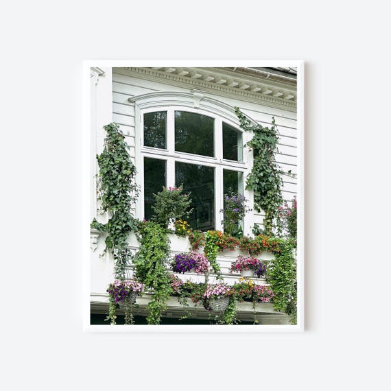 Window Garden in Bergen - Bergen Norway Photography Print, Vibrant Floral Wall Art with Norwegian Charm
