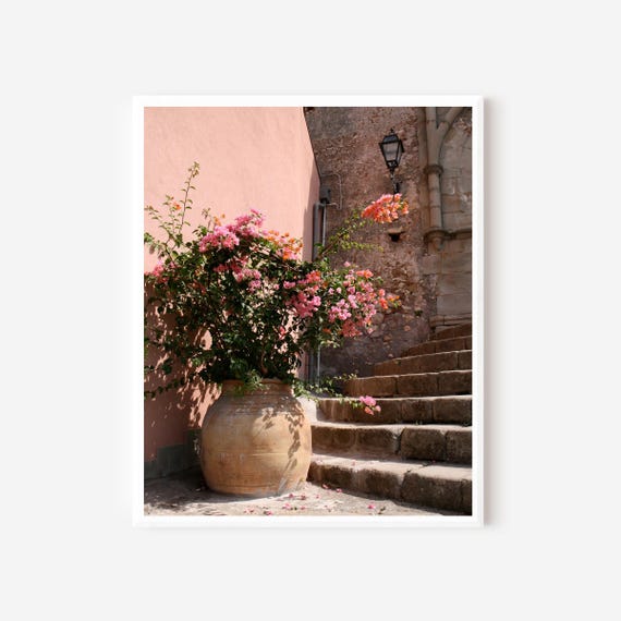 Flowers in Sicily - Sicily Italy Flower Photography Print