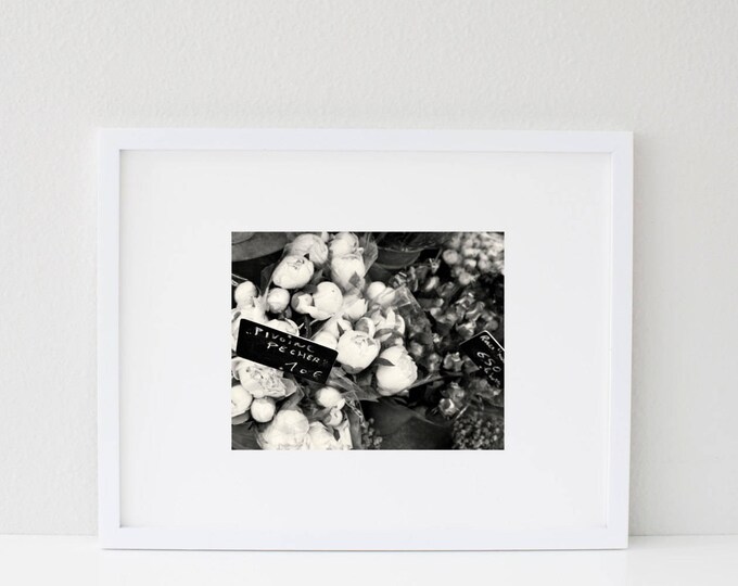 Black and White Peony Photograph - B&W Paris Photography - Floral Wall Art