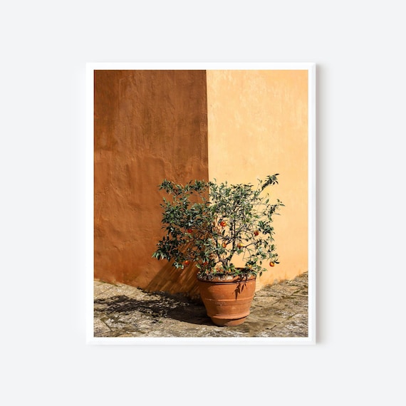 Shades of Orange | Tuscany Italy
