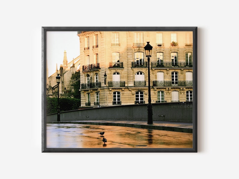 May include: A framed wall art print depicting a Parisian street scene with a beige stone building, black wrought iron balconies, and two black street lamps. Two pigeons stand on a wet, reflective pavement in the foreground under warm light.