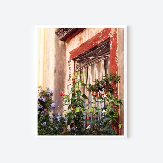 Corfu Greece Photography Print, Window Box Art, Garden Decor, Flower Box Photo, Greek Window, Mediterranean Wall Art, Corfu Greece Picture