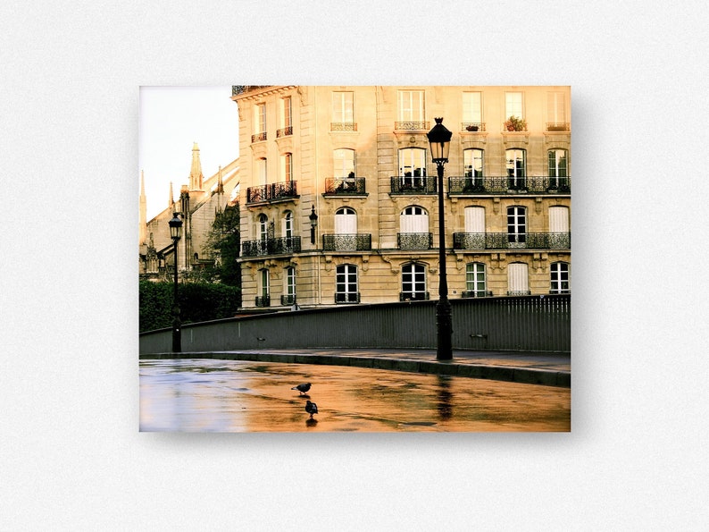 May include: A photograph of a Parisian street scene featuring a multi-story beige stone building with black wrought iron balconies and numerous windows. A tall black lamppost stands near a wet, reflective pavement where two small birds are walking.