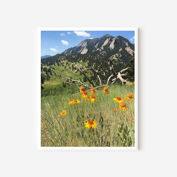 Flatirons Photography Print, Boulder Colorado Wildflowers Wall Art, Mountain Landscape Photo, Green and Yellow Decor, Colorado Nature Art