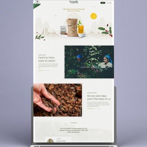 Company website development service
