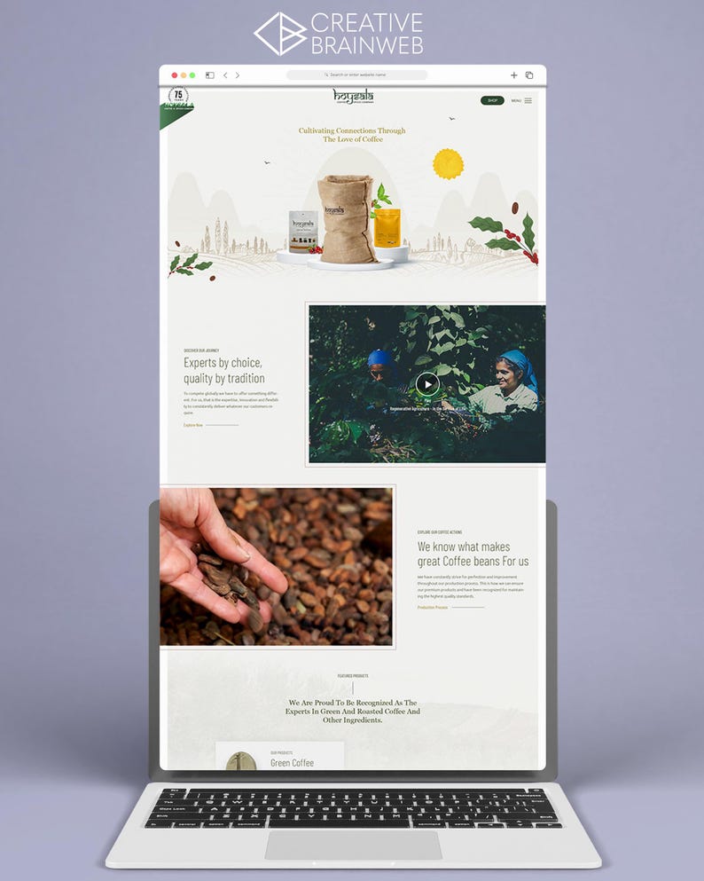 Company website development service