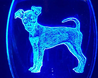 Miniature Pinscher night light dog lover 8 light color options personalized dog gift