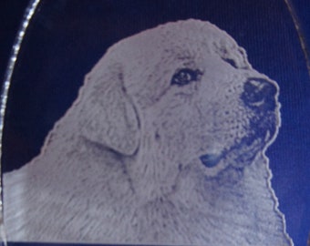 Great Pyrenees nightlight plug in etched clear acrylic personalized free 3 light color options blue white color changing by Deborah Houser