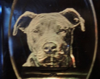 Pit Bull personalized nightlight, etched in clear glass like acrylic, ENGRAVED free, any engraving or personalization free, shipped free