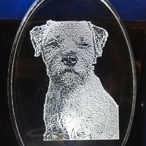 Border Terrier etched Night light