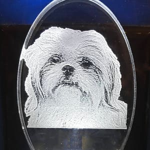 Light up led plush shih tzu top
