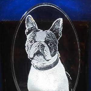 Boston Terrier, Bedlington, Bassett Hound, Basenji, Border Terrier nightlight personalized free