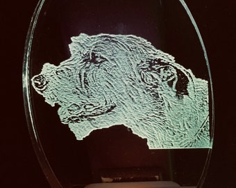 Irish wolfhound head night light