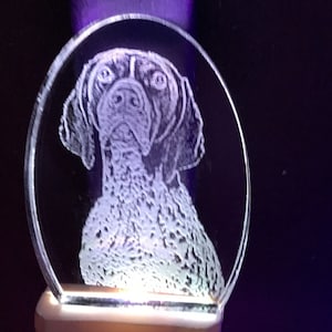 May include: A white night light with a clear, round, engraved panel featuring a black and white dog's head. The light is on and illuminating the dog's face.