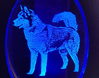 Siberian Husky night light on an LED light 3 color options&#39; white, blue or color changing engraved free dog lover pet friend gift engraved