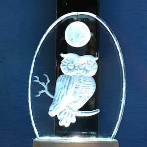 owl nightlight LED plug in light sensored on at night off during the day hand made from clear acrylic  personalized light colors available
