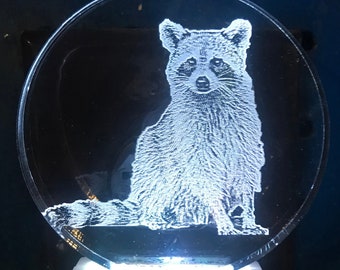 Raccoon night light etched on clear acrylic 8 light color options engraved shipped free animal lover any one