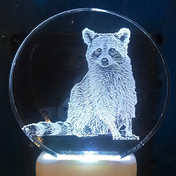 Raccoon Night Light - Etsy