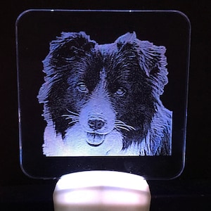 Border Collie night light 3 color choices for the led light white, blue or color changing wall plug in