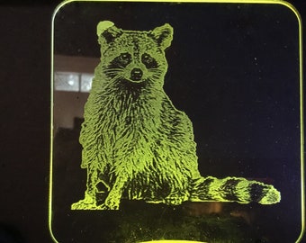 Raccoon nightlight, etched in clear glass like acrylic, 3 light color choices ADD A NAME free