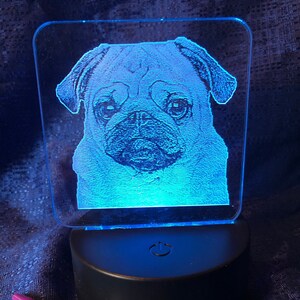 May include: A blue LED night light with a clear acrylic panel featuring a black and white image of a pug dog. The night light is on a black base with a power button.