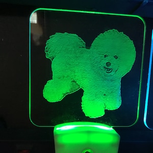 Bichon dog  nightlight etched in clear glass like acrylic, NAME ENGRAVED free, any engraving or personalization free, shipped free