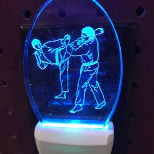 Het nachtlicht van karate