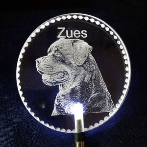 Foto von allen Rassen Solar Gartenpfahl beleuchtet, graviert, personalisiert kostenlos,