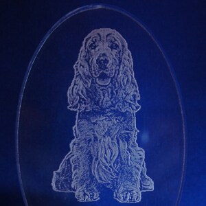 May include: A white night light with an oval-shaped clear plastic insert featuring an etched image of a dog. The dog is sitting with its head tilted slightly to the side. The dog is a Cocker Spaniel.