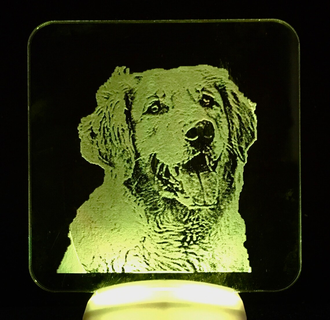 Golden Retriever Etched LED Night Light Etsy