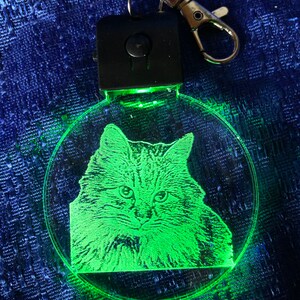Cat Key Chain Lighted Any Breed Available - Etsy