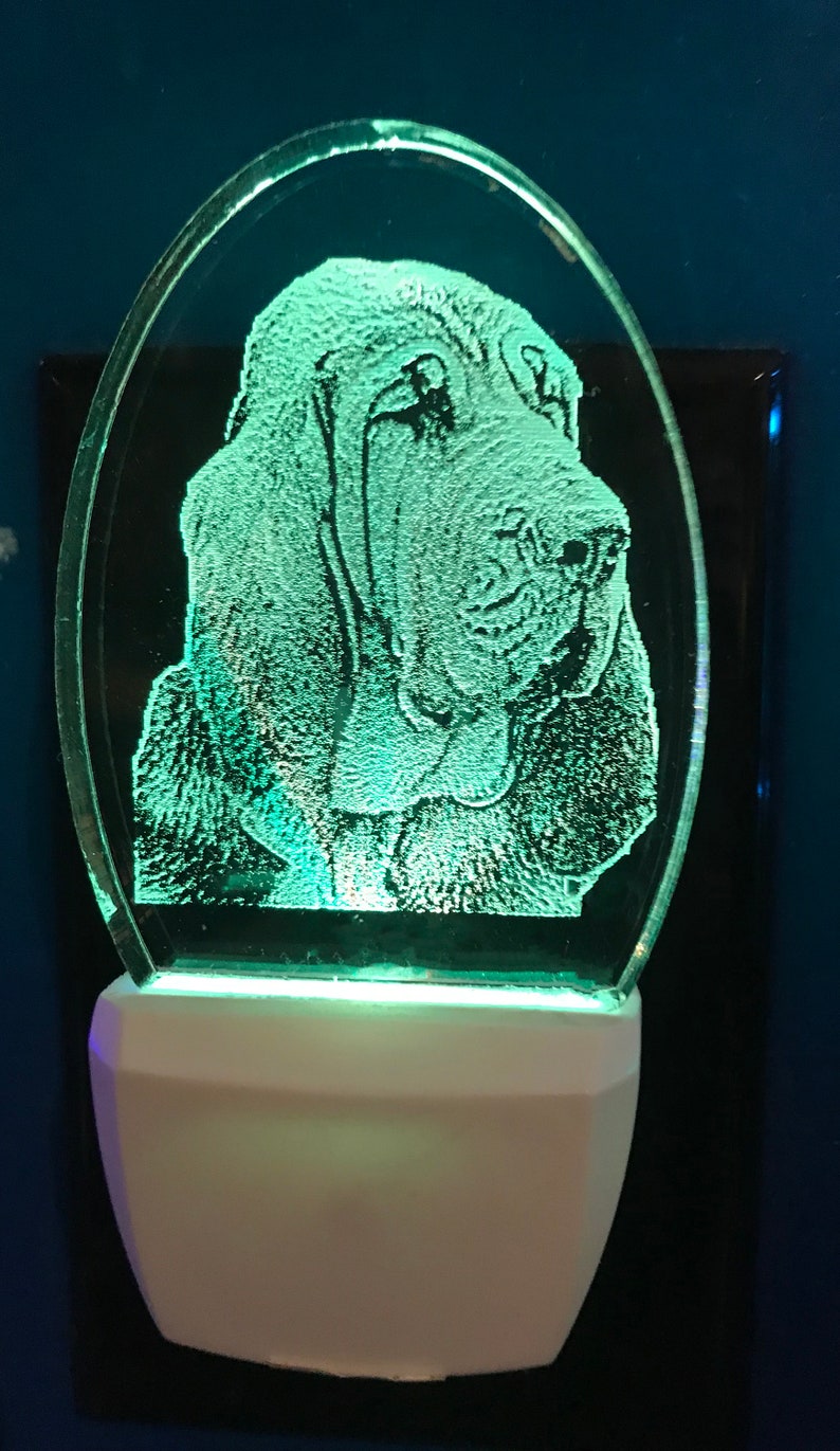 Bloodhound Etching in Clear Glass Like Acrylic Lucite. Etsy