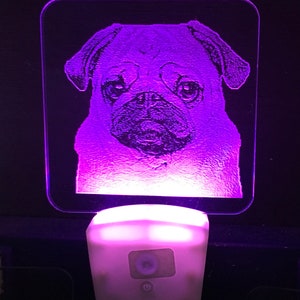 Pug Dog LED Night Light Etched in Clear Glass Like Acrylic Plexiglas