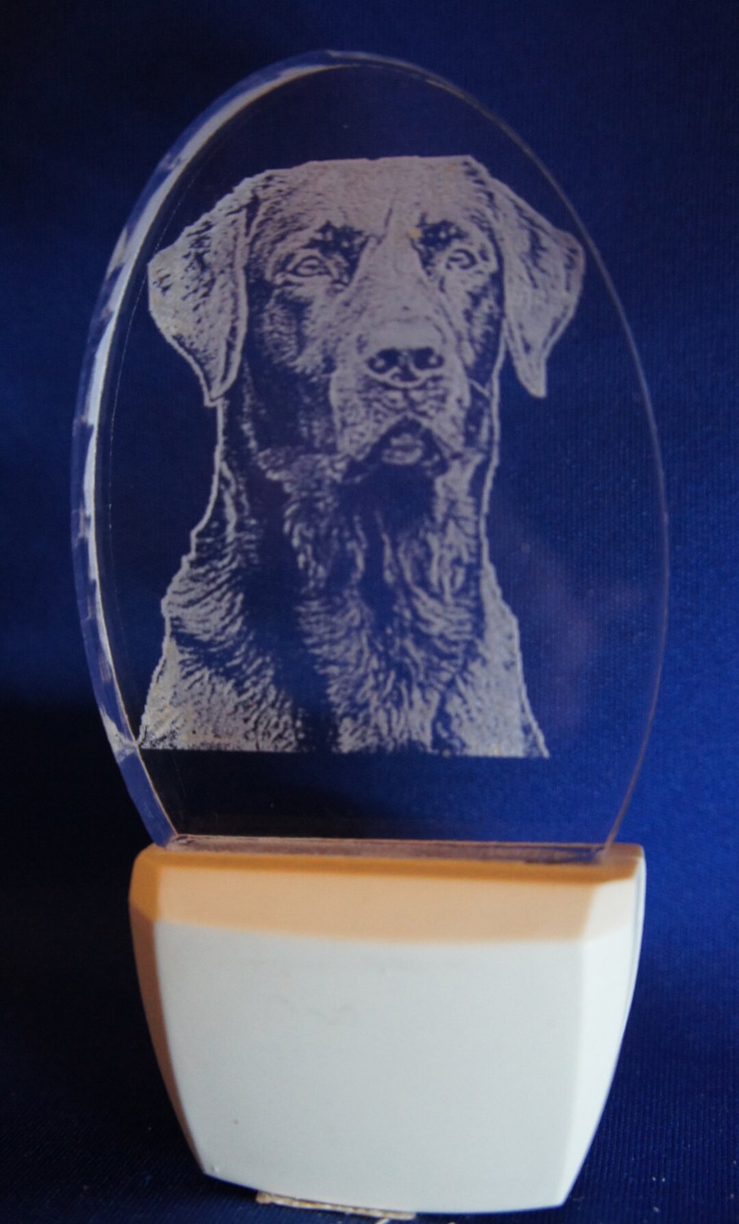Black Lab Night Light Etsy
