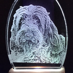 Italian Spinone Dog head etched into an LED night light engraved free, light available in white, blue or color changing