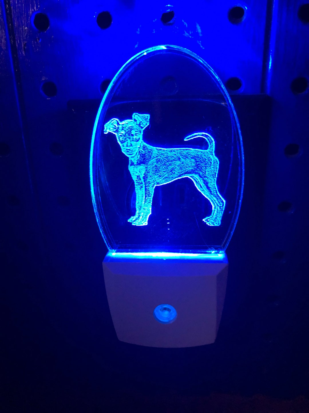 Custom Photo Your Pet Nightlight Memorial Keepsake Dog Cat Bird Pet