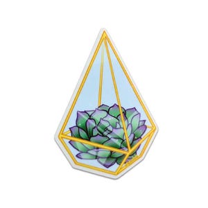 Prisma Terrarium mit Sukkulente - transparenter Vinyl Aufkleber