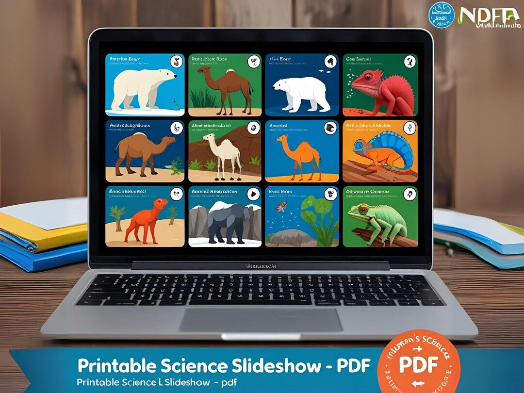 Animal Adaptations Printable Slideshow | Kids Science Lesson PDF ...