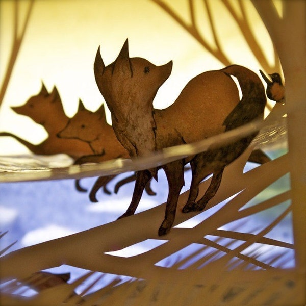 Advice from a Robin...