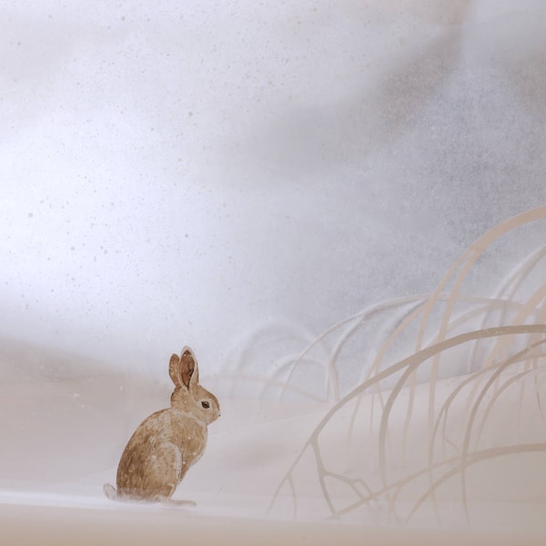 It's a mystery in the sifting snow, where the rabbit goes.