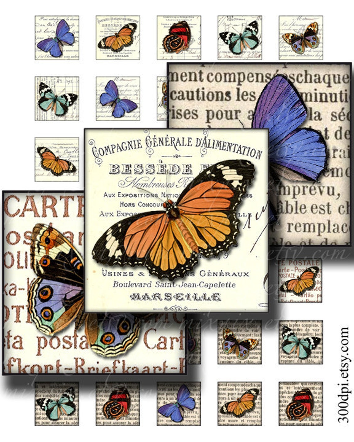 Butterflies 1 x 1 inch square images Printable Download Etsy