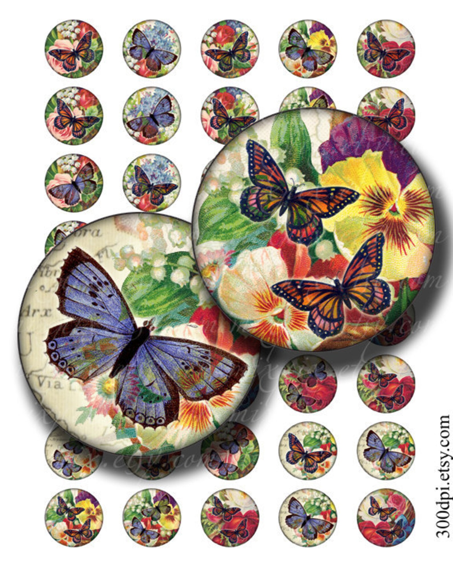 1 inch round images Printable Download Digital Collage Sheet 1 | Etsy