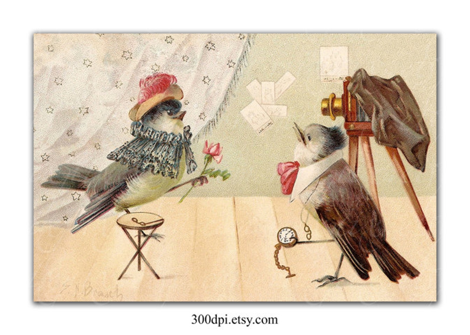 Old bird. Chunjie Holiday Postcard.