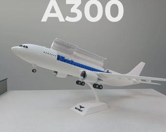 Flugzeugmodell im Stil der A300 (Maßstab 1:100)