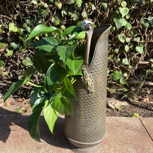 May include: A vintage brass planter with a hammered texture, featuring a handle with a decorative face and a ceramic knob. The planter is filled with lush green pothos plants, creating a striking contrast. The planter is approximately 12 inches tall.