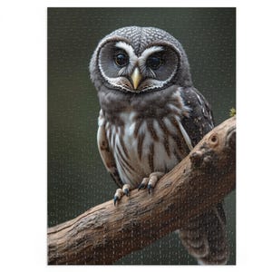 Cute Owl Jigsaw Puzzle